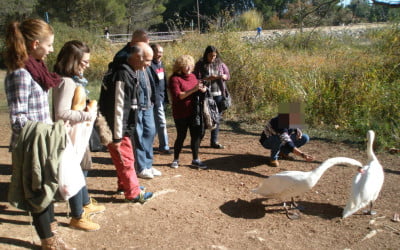 Visita al parque de La Grajera de usuarios y equipo del PAAI