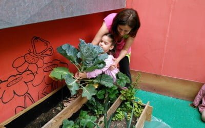 Los niños del Centro Entrepuentes han aprendido a comer sano y a respetar el medio ambiente